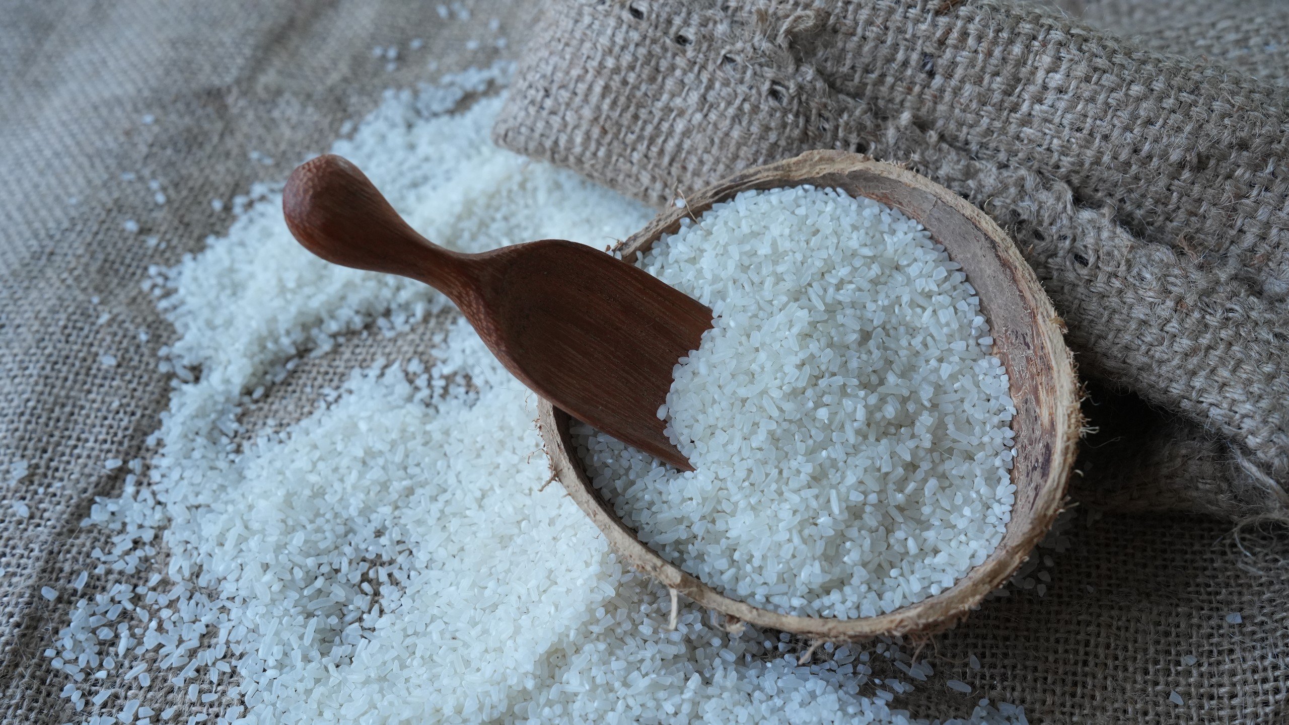 BROKEN RICE